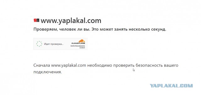 Мигранты из Индии убирают улицы Петербурга