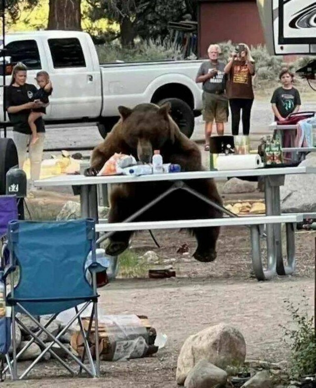 *зачёркнуто*