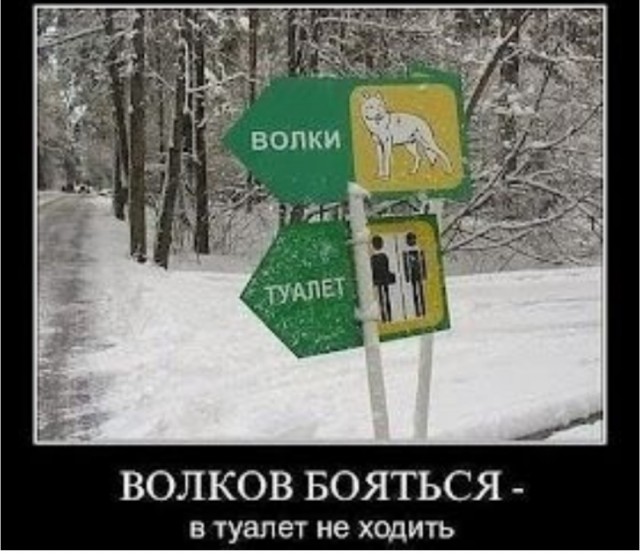 Воскресные картинки