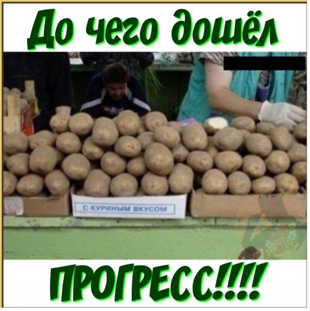 Прикольные и просто красивые картинки 13.03.2026