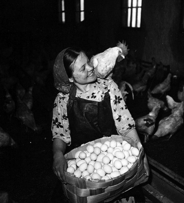 Фотографии из прошлого нашей страны – 142