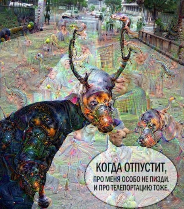 Загрязнение озер кокаином меняет поведение лосося. Новости науки.