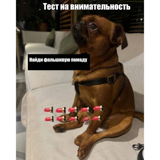 Ну вот! Есть же хорошие новости!