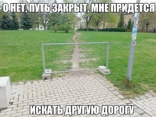Так себе картинки 27.07.26