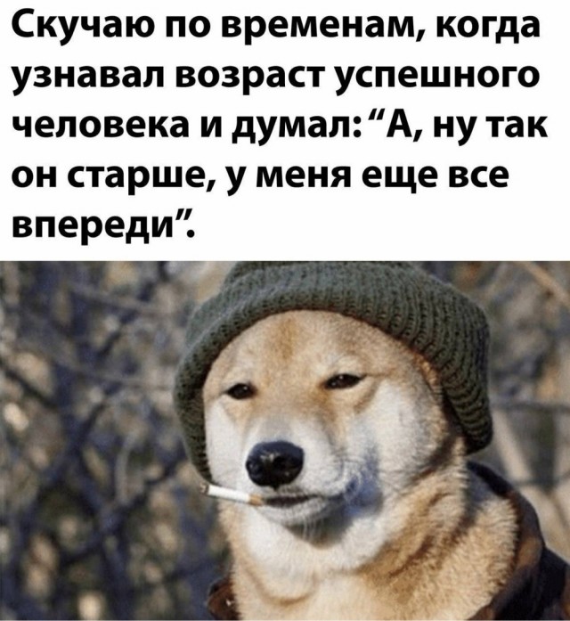 Картинки для деградации 272 (разной степени свежести)