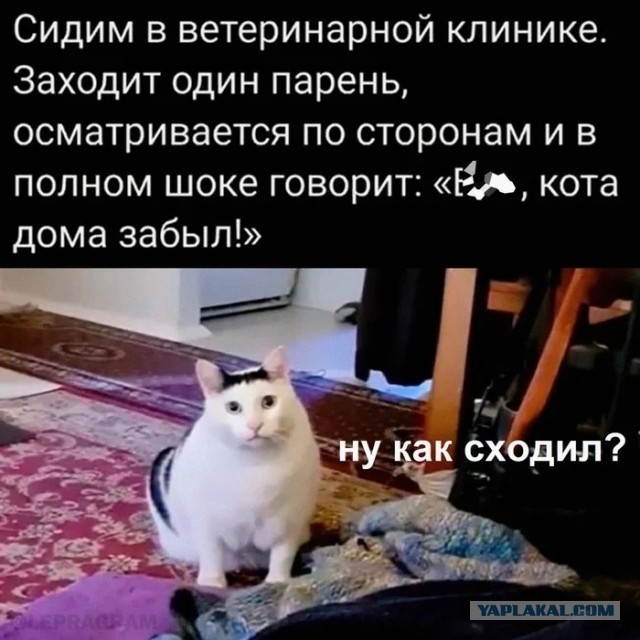 Когда так торопился, что чуть не забыл главное…