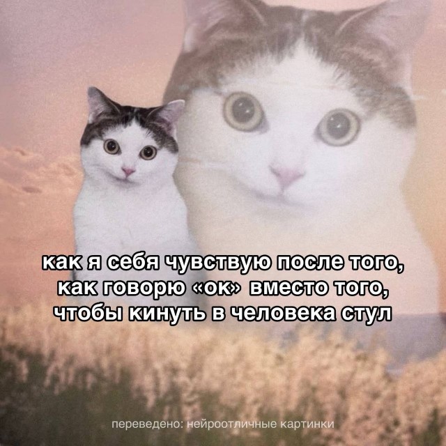Психомемы-9