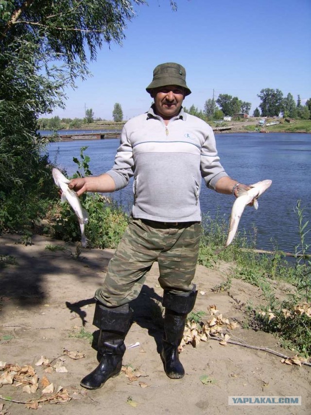 Отдых на Ахтубе. Автотуристам-рыбакам посвящается.