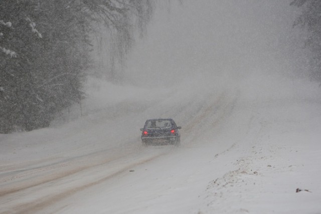 Под снегом!