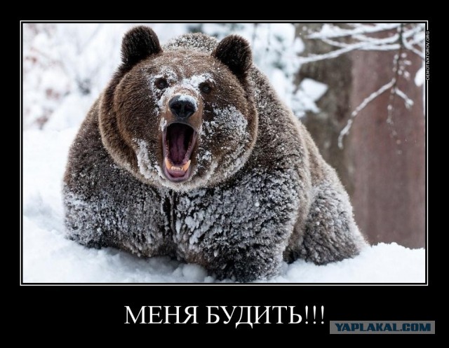 Медведев перевел Украину на предоплату газа