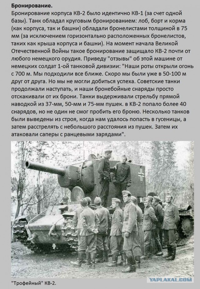 20 фактов обо всем