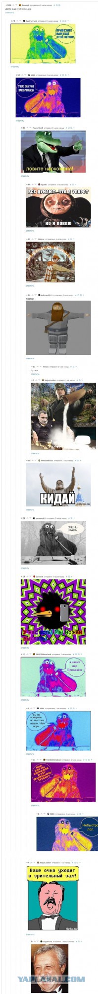 Смешные комментарии из социальных сетей