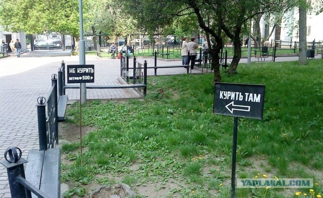 Картинки на пятницу.