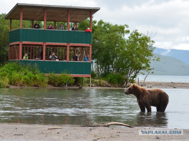 Нестеровский поезд: как уехать в Европу за 1600 рублей