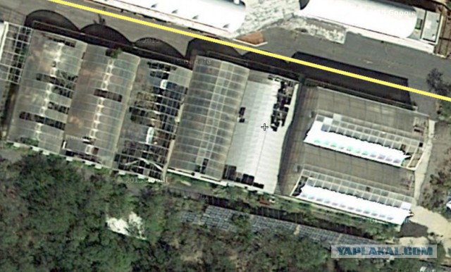 Провалившийся рай - невероятно отрезвляющий эксперимент