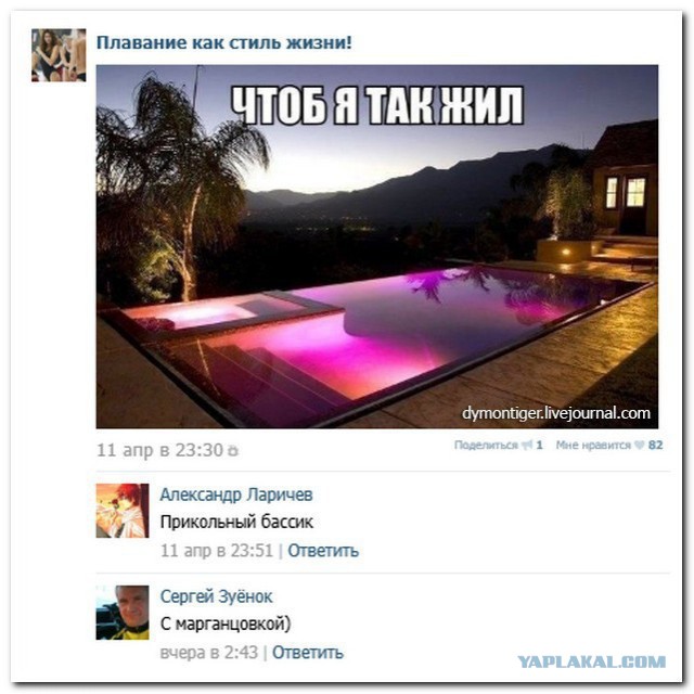 Ужасы и приколы из соцсетей 18+