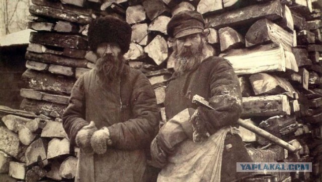 Неизвестные "распотрошили" припаркованный на газоне "Мерседес"
