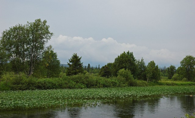 Деревенская Америка - 2