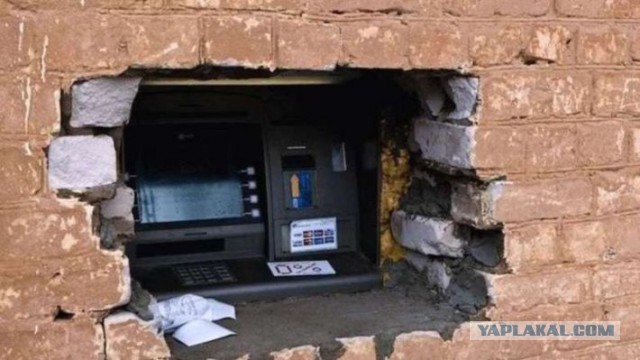 Порция картинок из сети