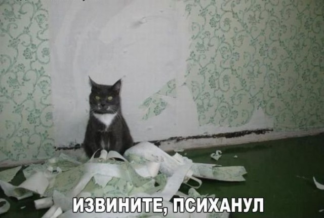 Доза раскумара на новую неделю