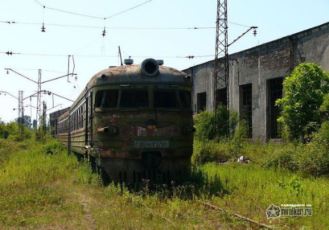 Железные дороги остаются одним из самых популярных и при этом безопасных видов транспорта