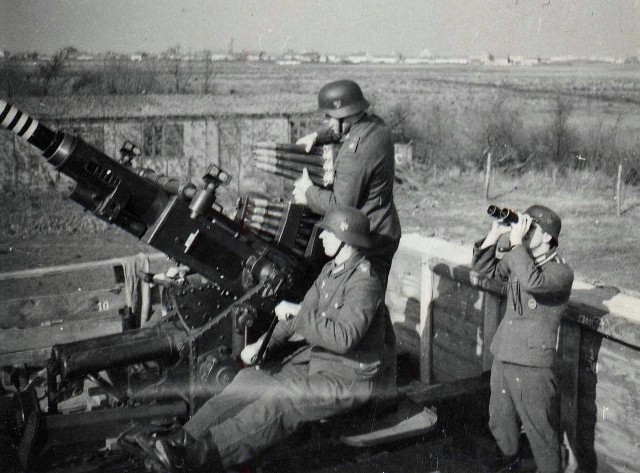 ФотоОвсянка