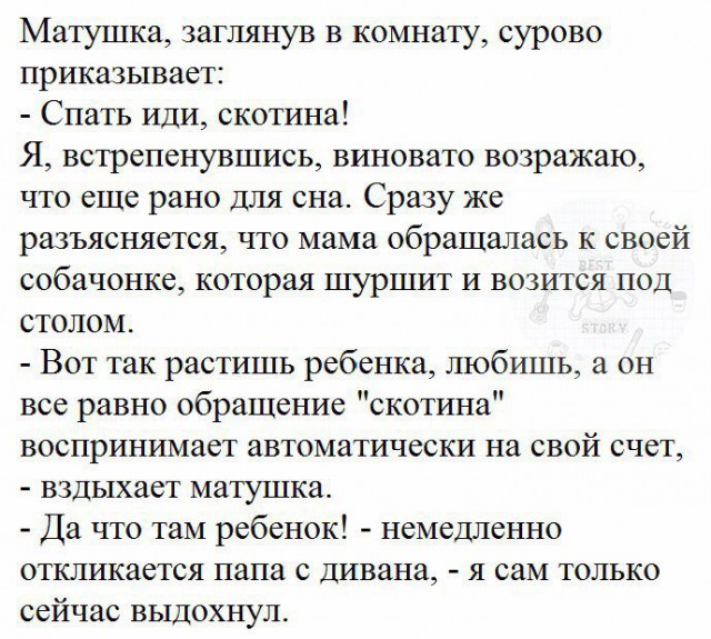 Забавные комментарии, шутки и фразы из этих ваших интернетов