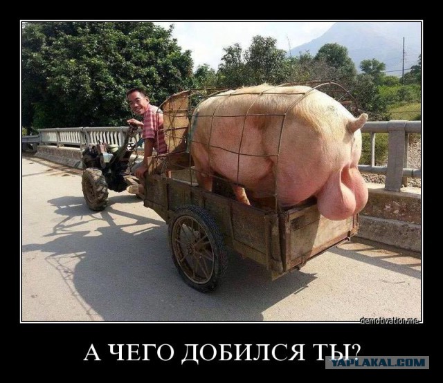 Журнал деградант