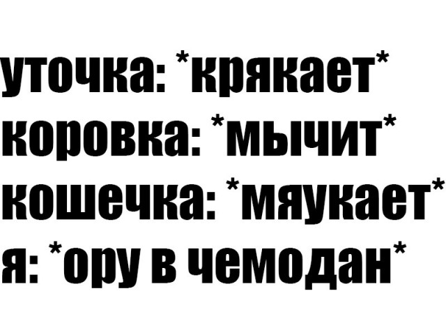 Воскресная деградация - залог успешной рабочей недели!