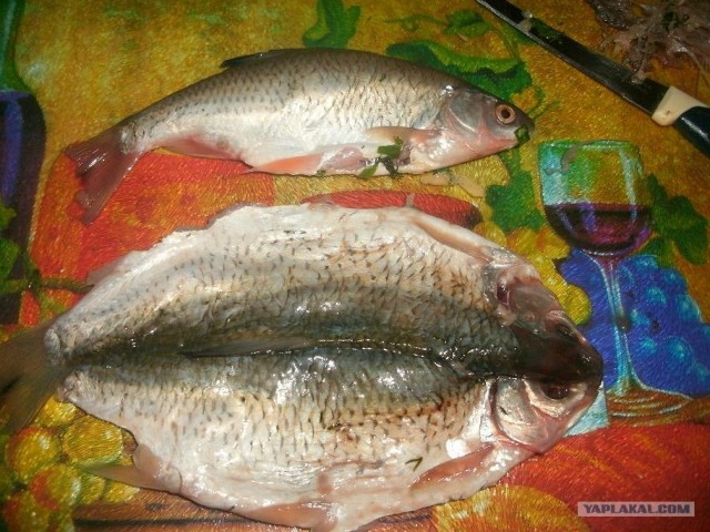 Карась-карася.