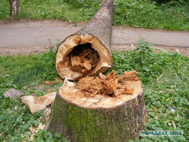 Тридцать одно «ничо се!», которое стоит хоть раз увидеть.