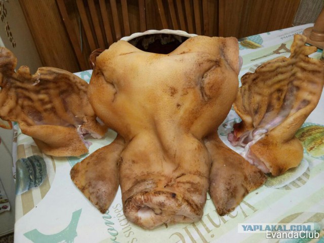 Необычная еда с Эвандой