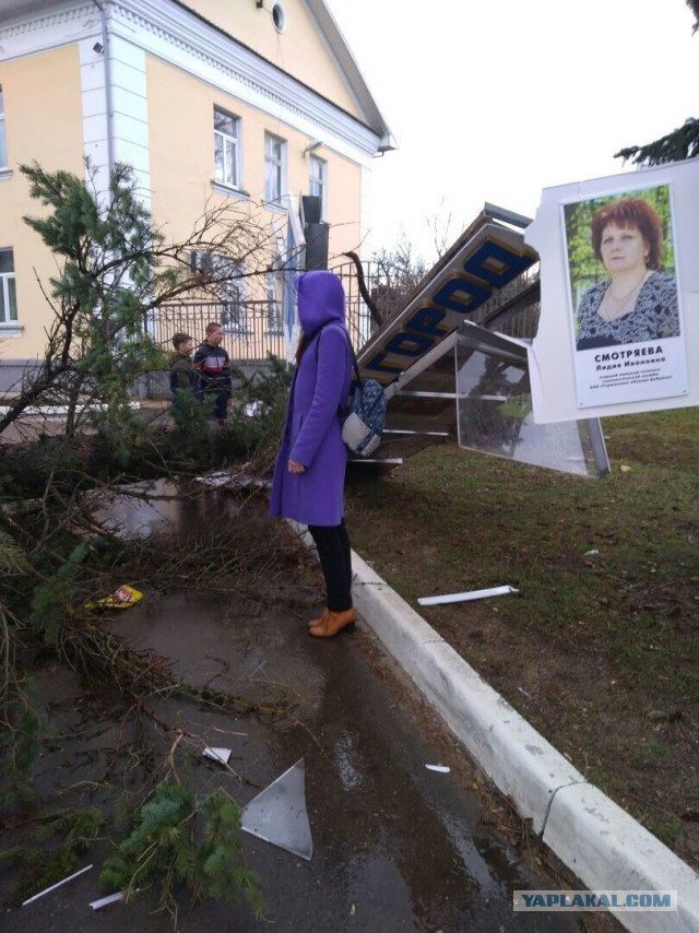 В Москве из-за шторма пострадали 12 человек