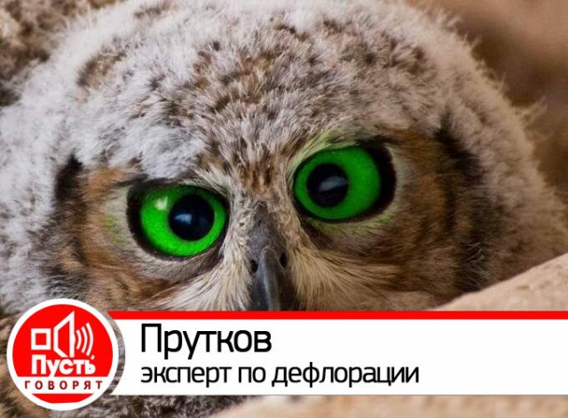 «Уважительнее надо быть, мразь»: новосибирец облил мочой коллегу, в которую был «влюблен»
