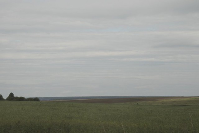 Несколько характерных русских пейзажей