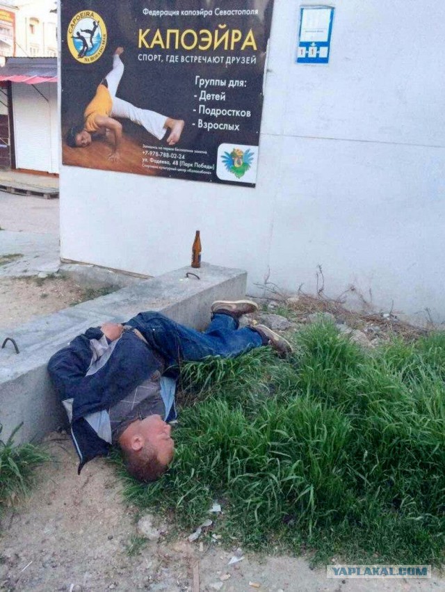 Подборка прикольных фоток