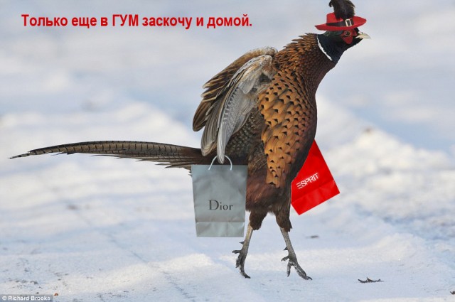 Летящей походкой!