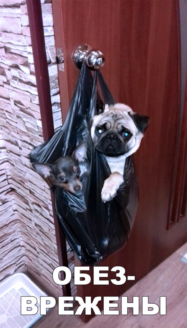 Нестандартный юмор