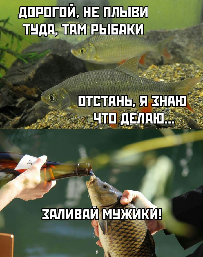 В свете последних событий