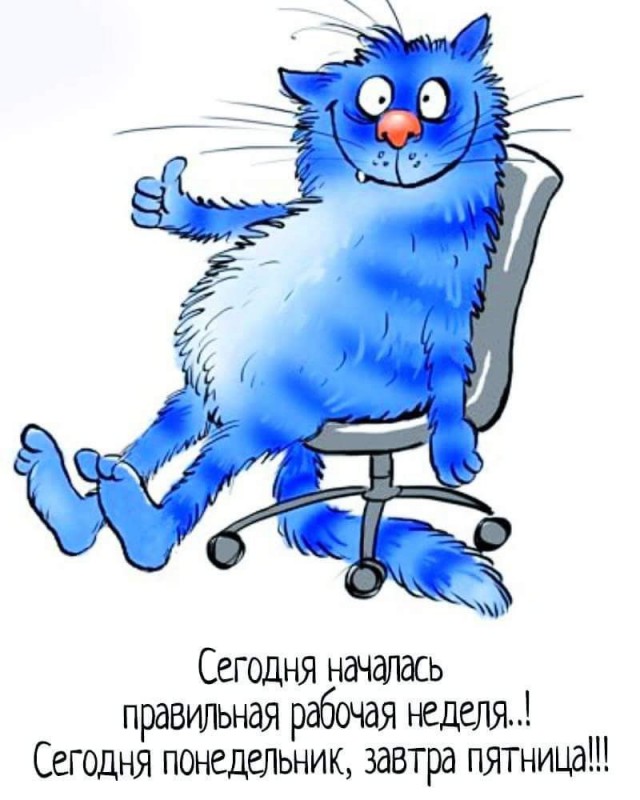 Анекдоты, истории и картинки с надписями