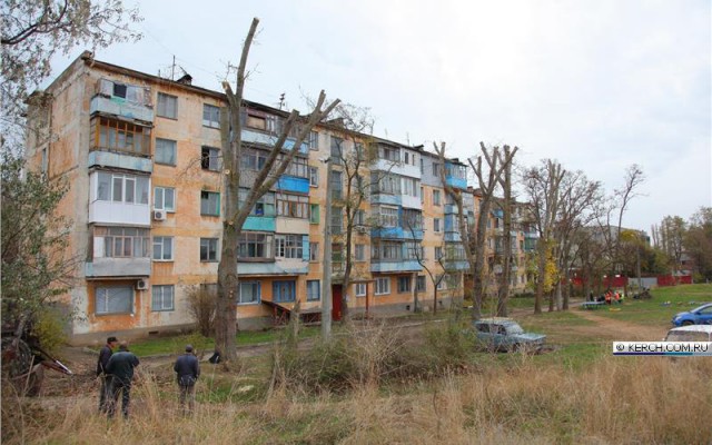 В Севастополе два песеля взяли под крыло котейку и получилось настоящее семейство.
