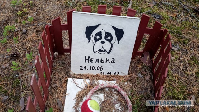 Лесное кладбище