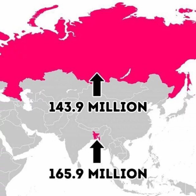 Вещи и животные, габариты которых вышли из-под контроля