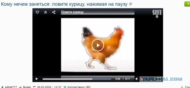 Кому нечем заняться: ловите курицу, нажимая на паузу