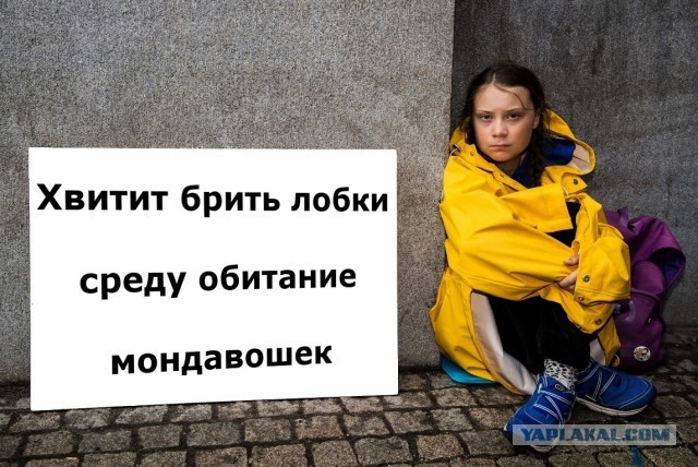 А можно ли в наше время найти женщину, которая не бреет волосы в интересных местах?