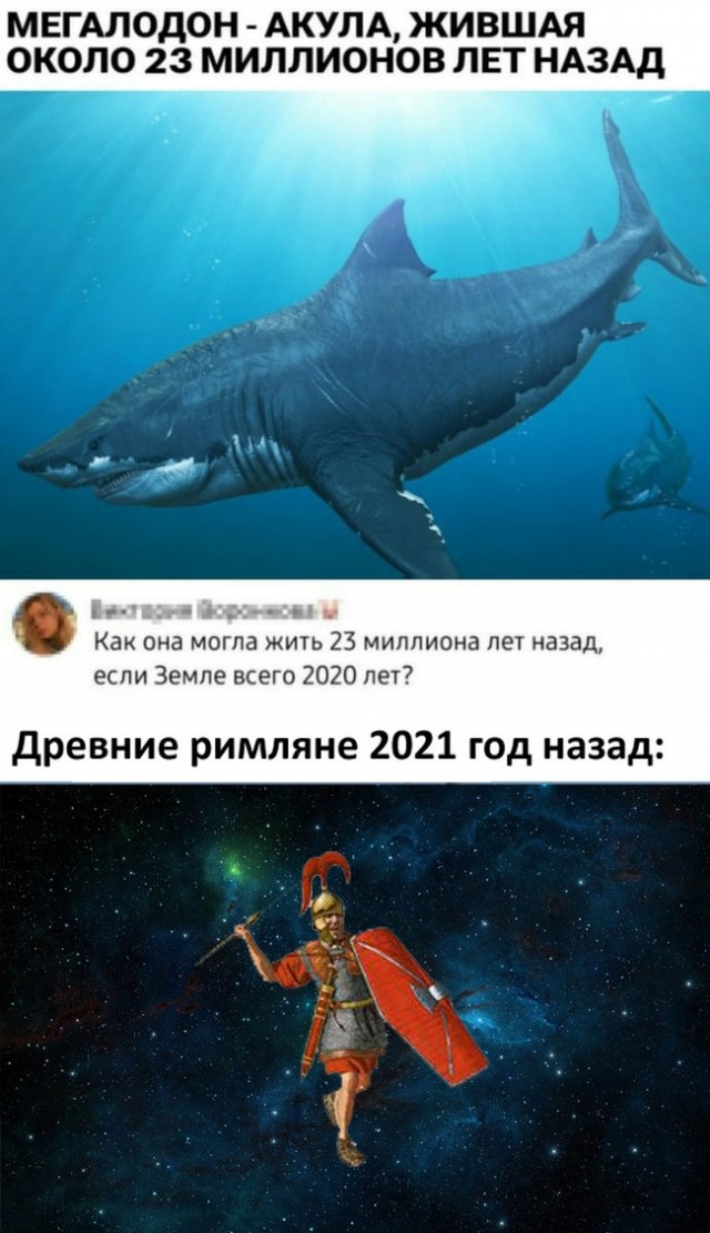 Перлы 08.06.20.