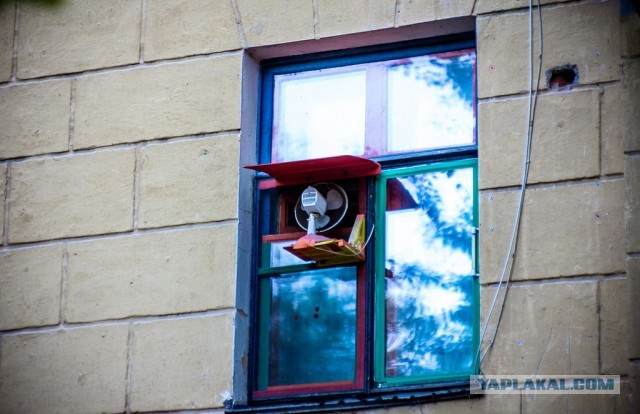 Голь на выдумку хитра