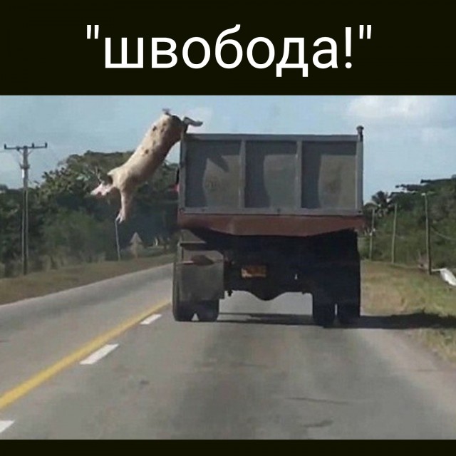 Сейчас даже Илон Маск ох@ел
