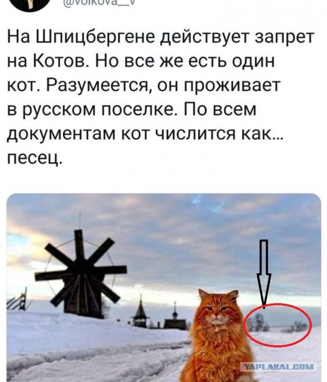 Бредзона 17.11.20