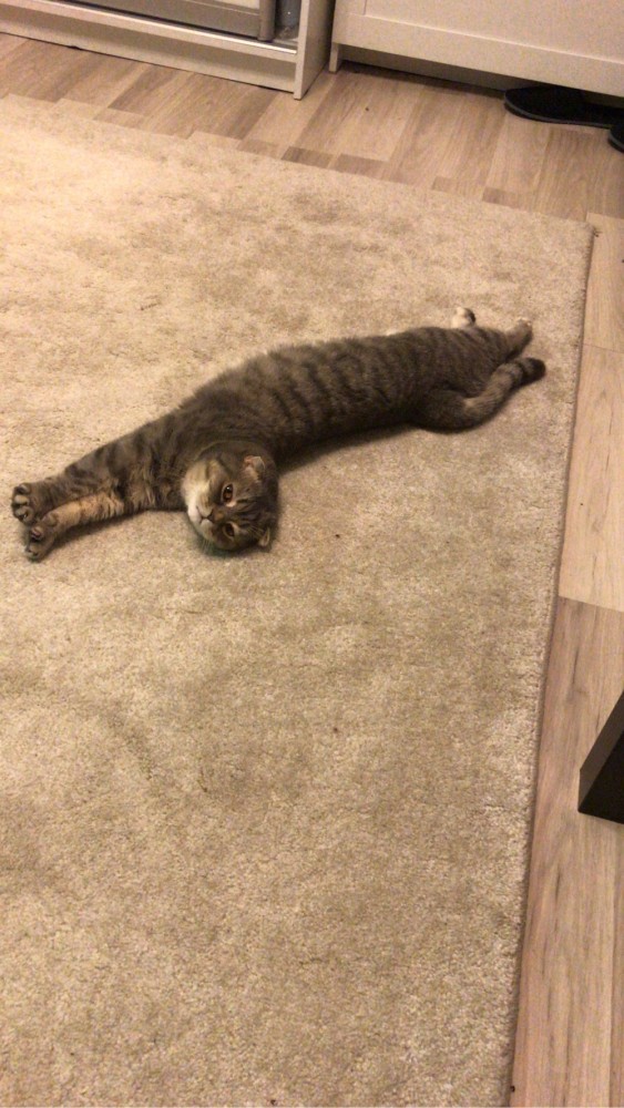 Моя красотка